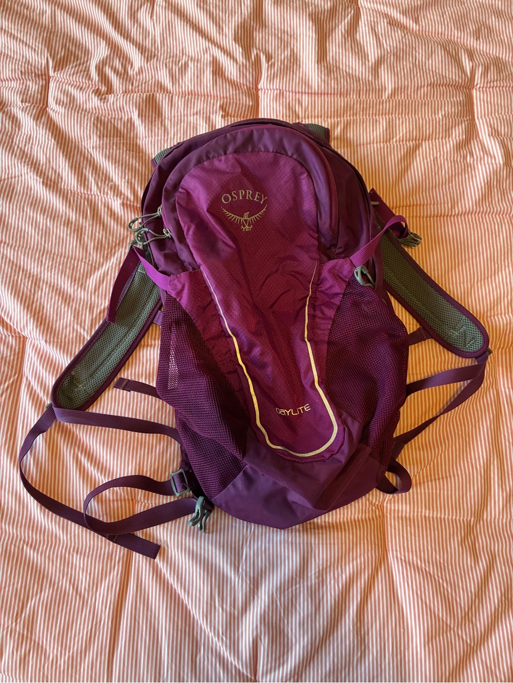 OSPREY Women's Purple Daypack Backpack with Mesh Side Pockets